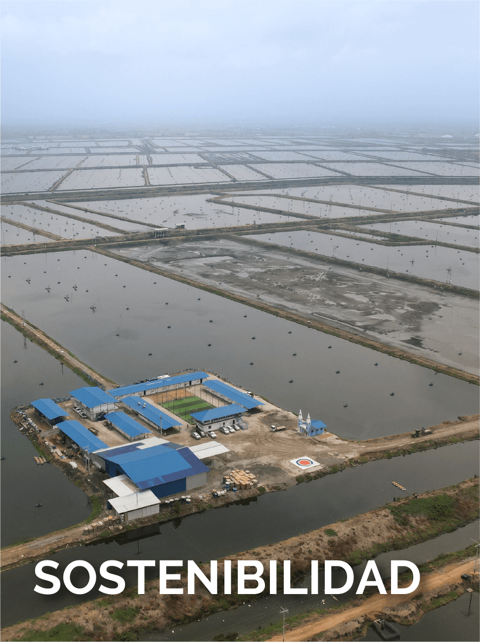 Sostenibilidad