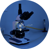 División Laboratorio